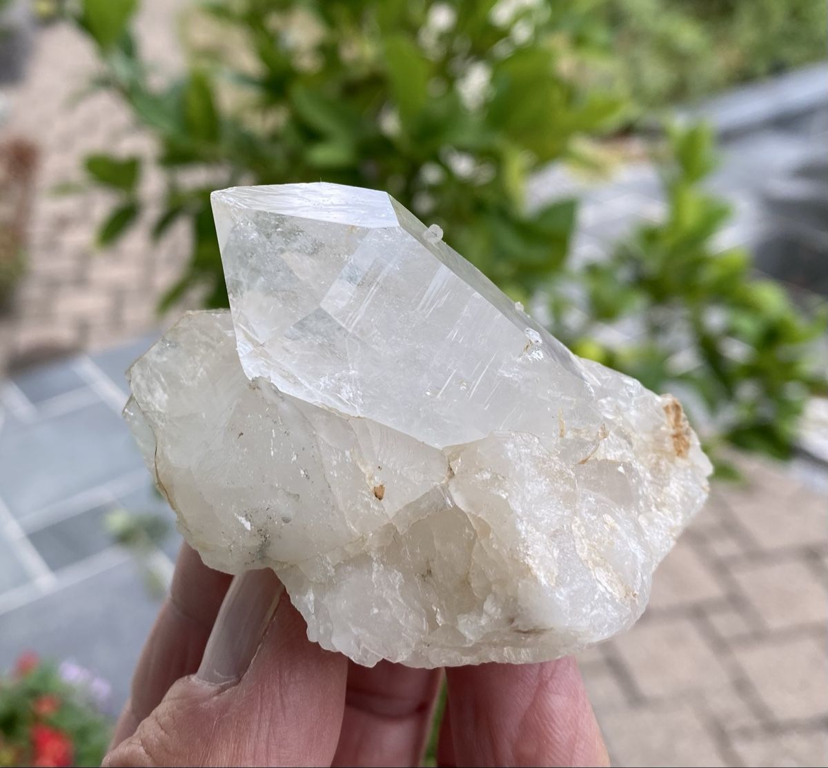 Mineralien & Heilsteine: Bergkristall Wergenstein Graubünden  – Gebraucht aus Selzach von 321compac 4