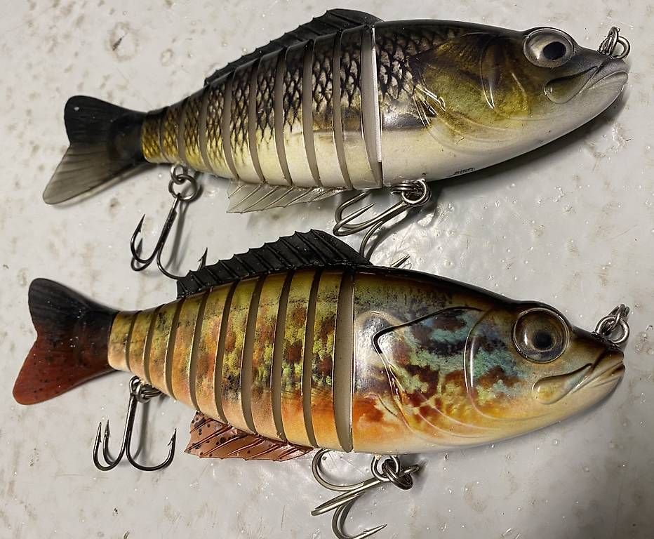 Esche: Leurre segment 23cm/130gr – Usato da Preverenges venduto da Jojoa35