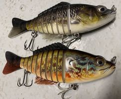 Leurre segment 23cm/130gr
