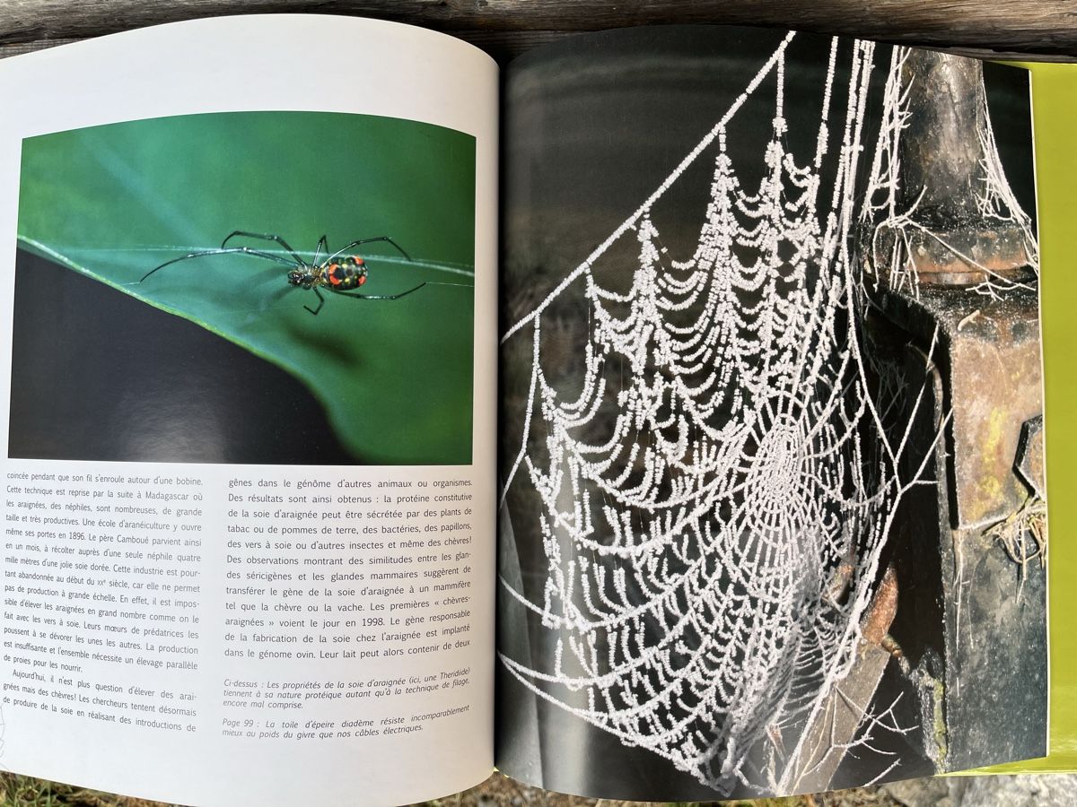 Libri: Au fil des araignées - Livre – Usato da Euseigne venduto da so.ART 5