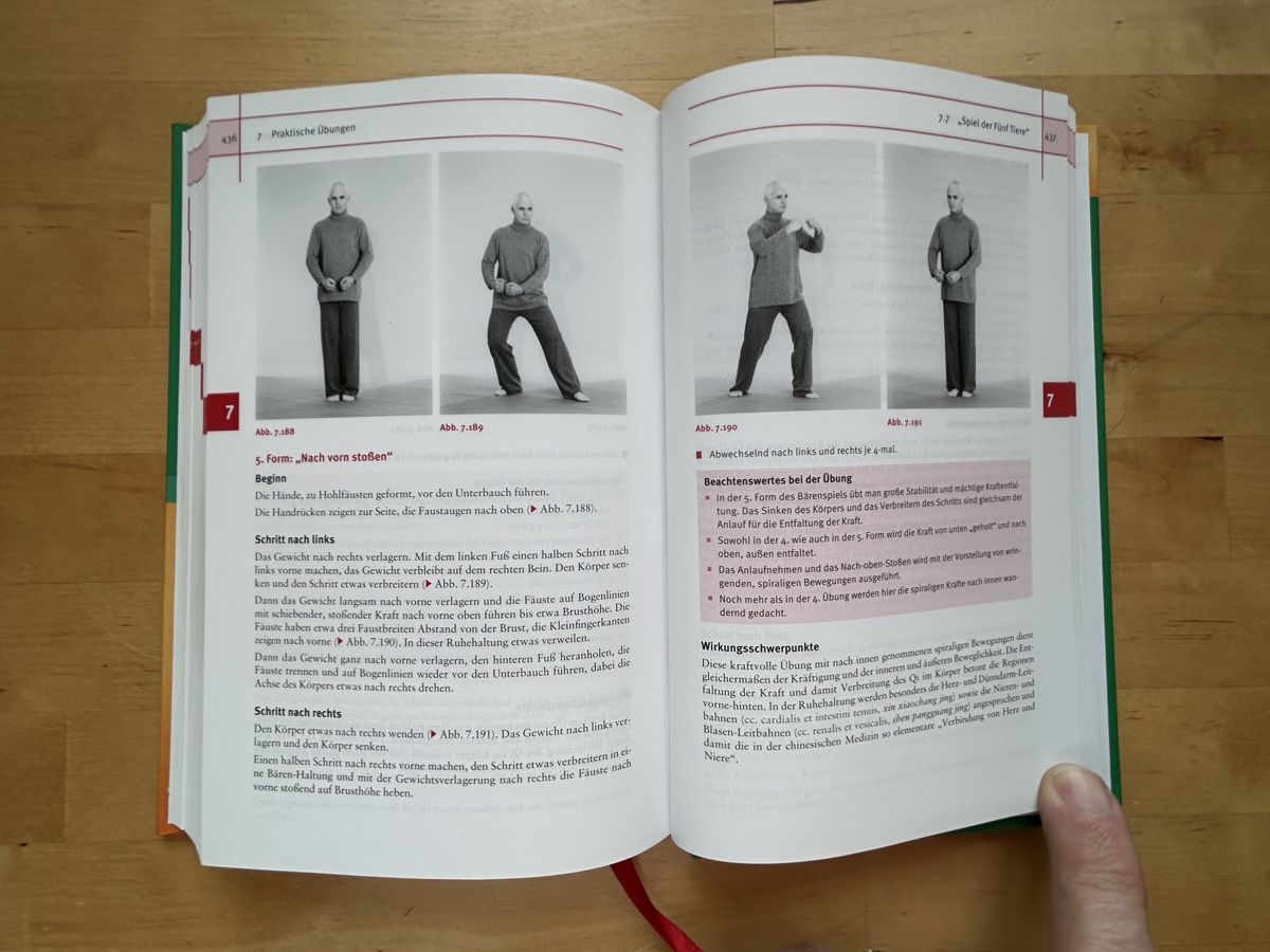 Libri: Leitfaden Qigong – Nuovo (secondo la descrizione) da Himmelried venduto da rasmus67 9