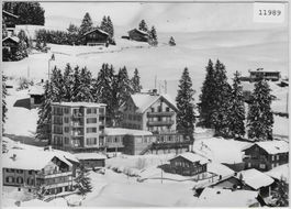 Flugaufnahme Hotel-Restaurant Waldhaus