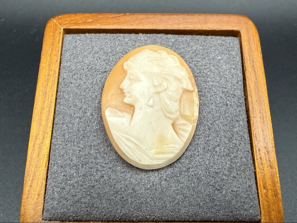 Sculture & Statue: Antiker Cameo mit Frauenprofil – Usato da Lamone venduto da LaCantinaMagica 1