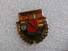 Ansteckpin 273: WG Aare Rhein