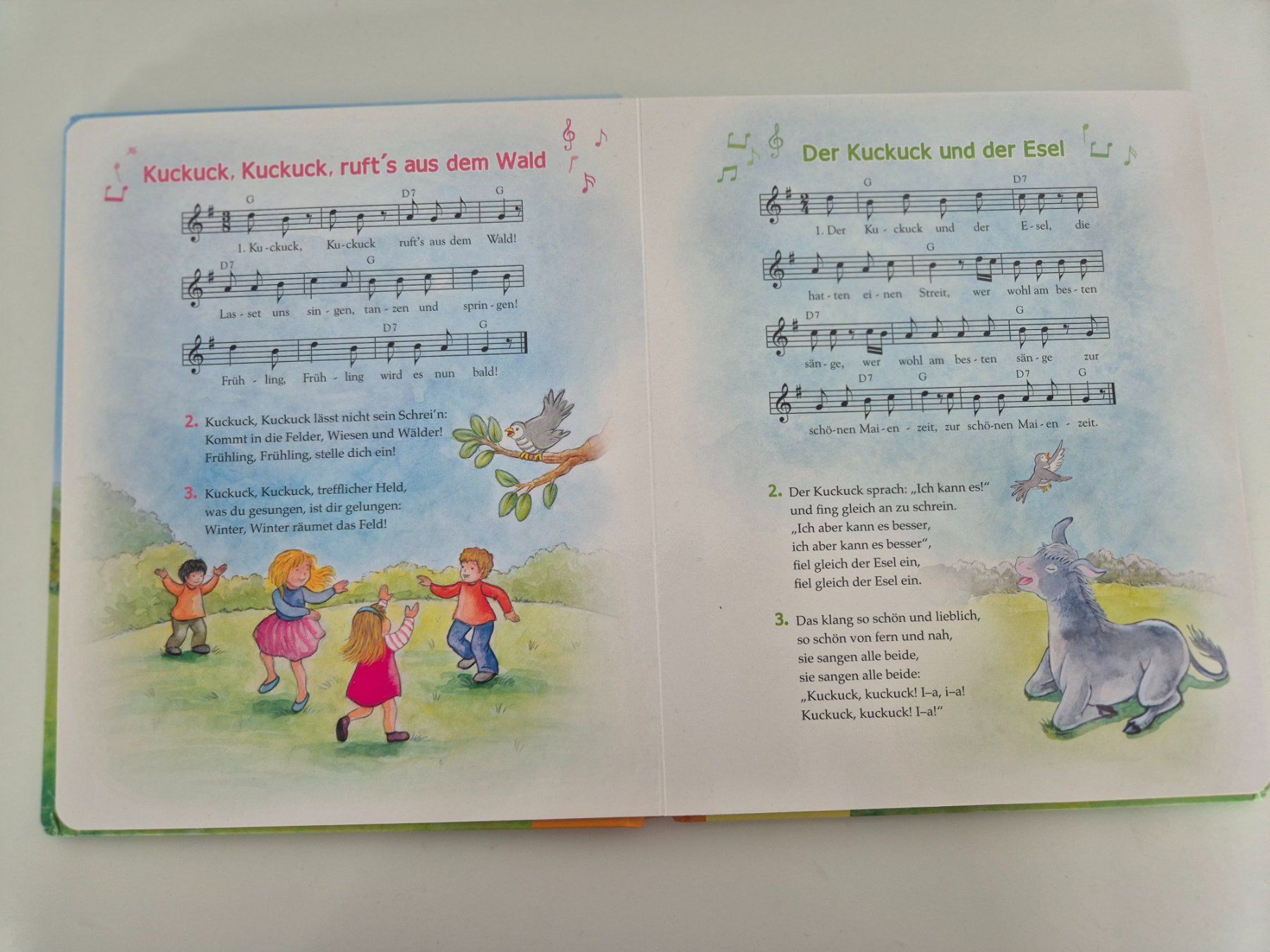 Libri: Buch Meine ersten Kinderlieder – Usato da Aarburg venduto da i_c6r8 2