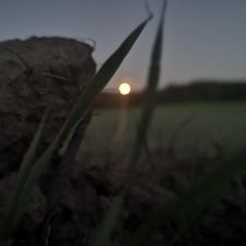 Profile image of grossenbacher82