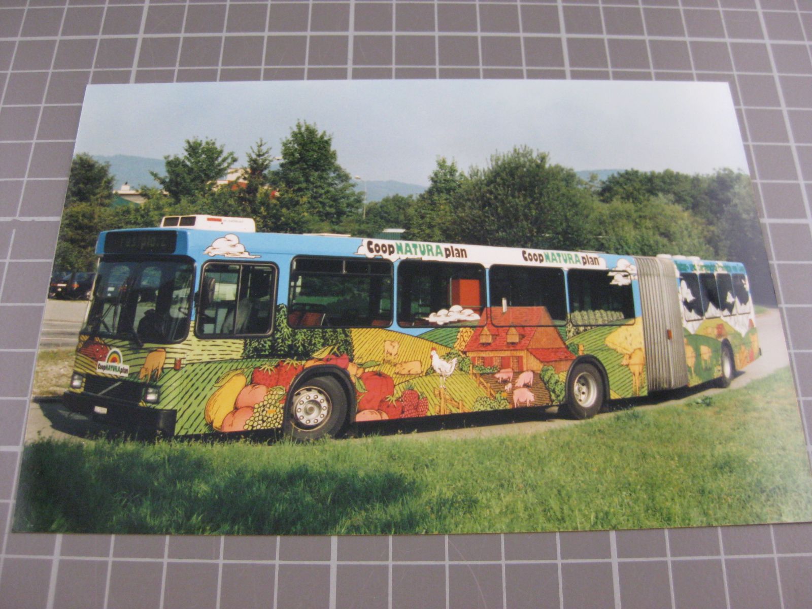 Cartoline postali: Echtfoto BBA Bus – Usato da Malters venduto da Marosko