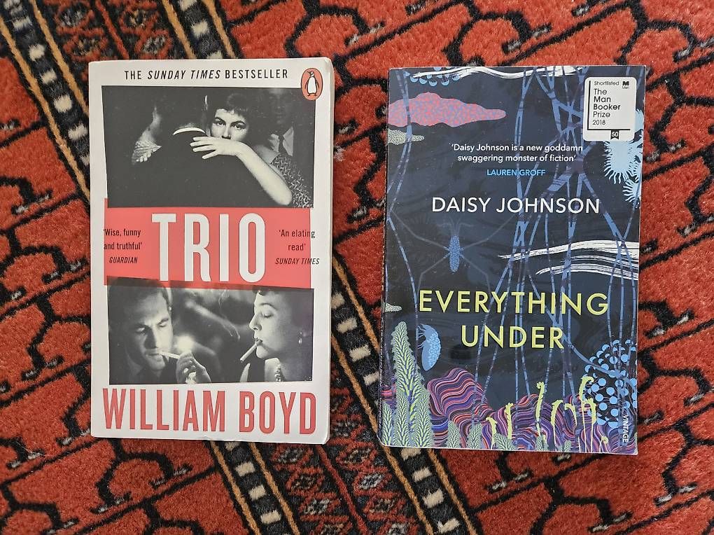 Libri: Trio (by Boyd), Everything Under (Johnson) – Usato da St. Gallen venduto da Sellstuff