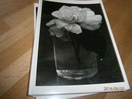 carte postale noir/blanc