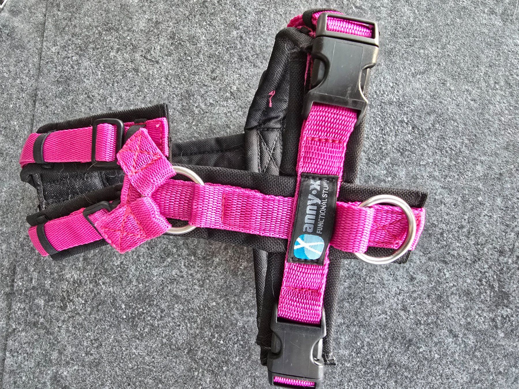 Set di piatti: Hundegeschirr Anny x – Usato da Merenschwand venduto da Juditha786