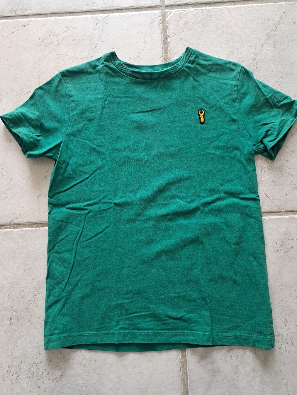 Next Camicie, T-shirt & Polo: T-Shirt, Gr. 134 – Usato da Seuzach venduto da nadine.baur84
