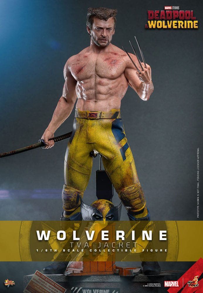 Hot Toys Statuette: Hot toys Wolverine (TVA Jacket Version) – Nuovo (secondo la descrizione) da Aarau Rohr venduto da tobinogio