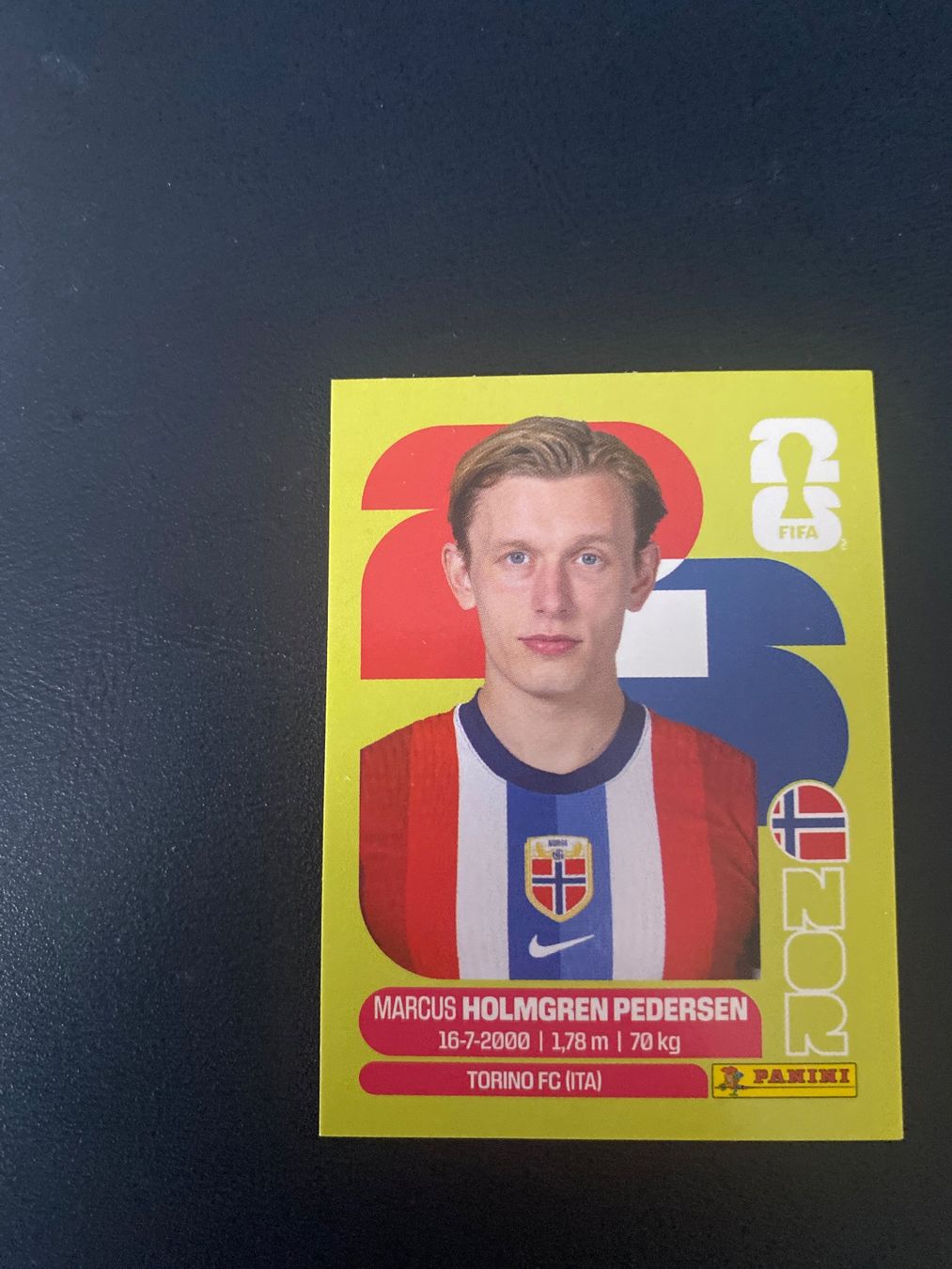Panini Carte collezionabili: Panini FIFA World Cup Sticker NOR 6 – Nuovo (secondo la descrizione) da Glattbrugg venduto da riseca