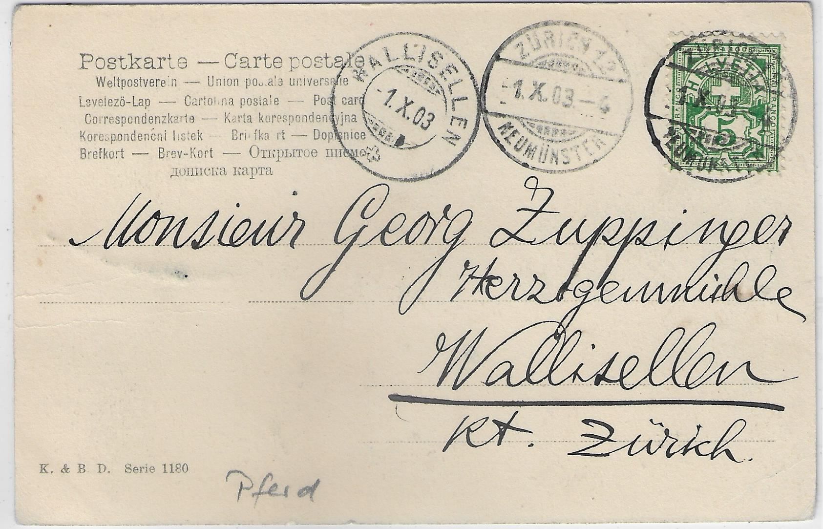 Ansichtskarten: Pferd mit Reiter 1903 – Gebraucht aus Ettingen von Kartenplanet 1