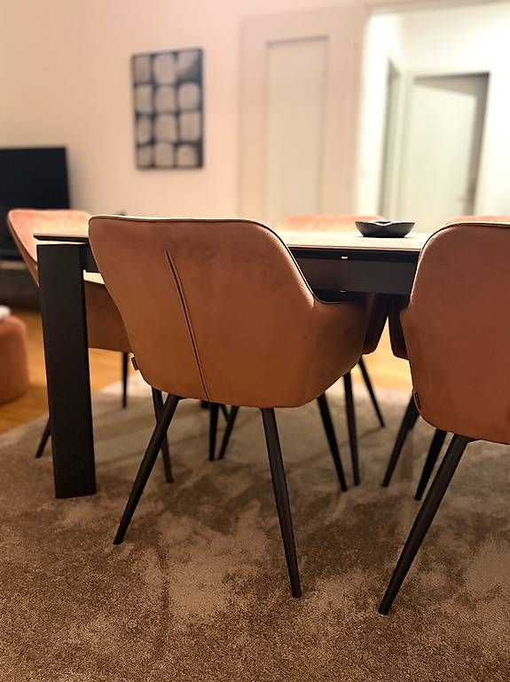 Sedie: 6 chaises couleur cognac - effet velours  – Nuovo e nell'imballaggio originale da Genève venduto da lkr_b2cp