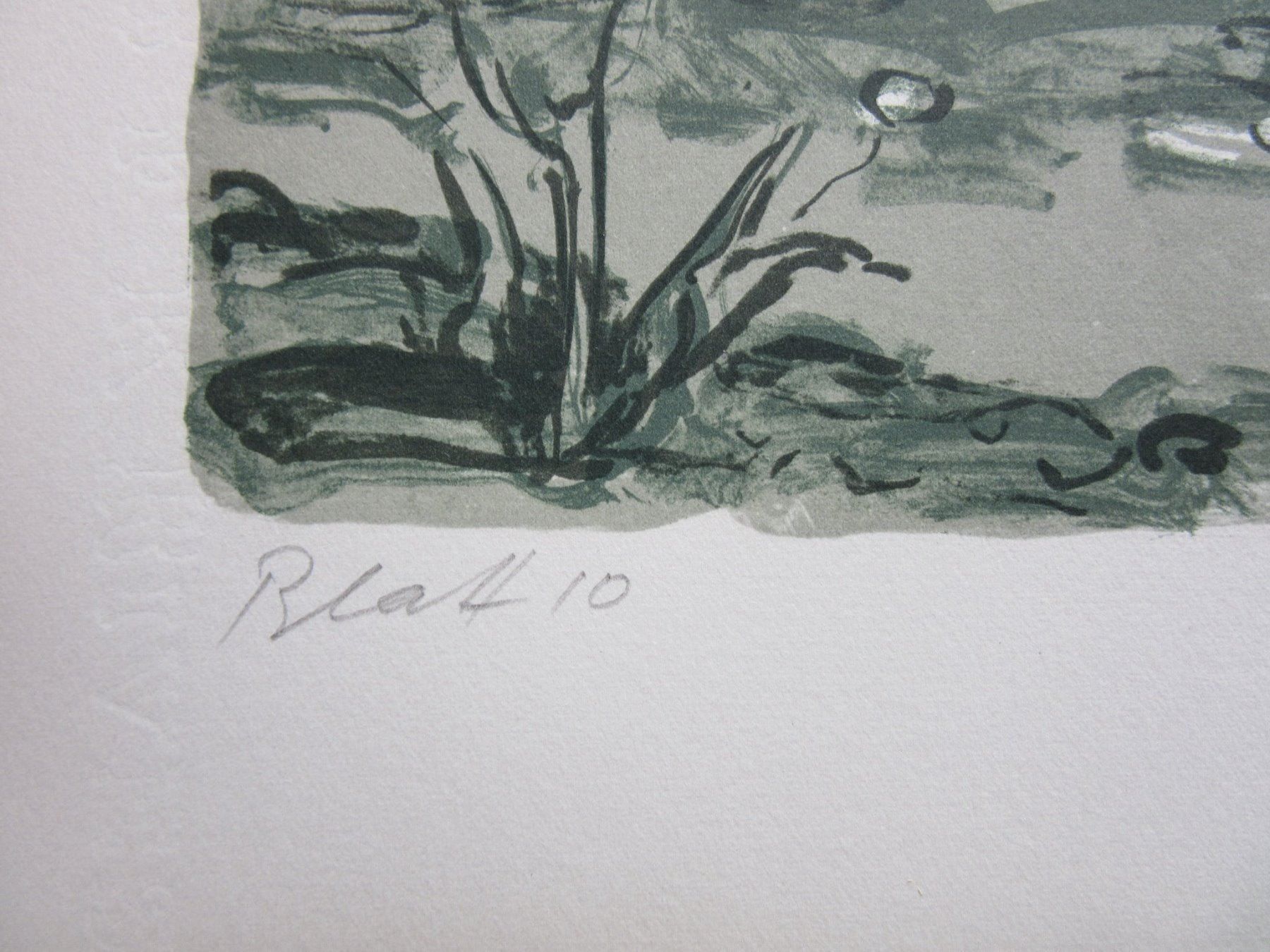Arts picturaux & lithographies: Diggelmann Alex Walter  LITHOGRAPHIE SIGNIERT – D'occasion à Gersau par grafik-kunst 3