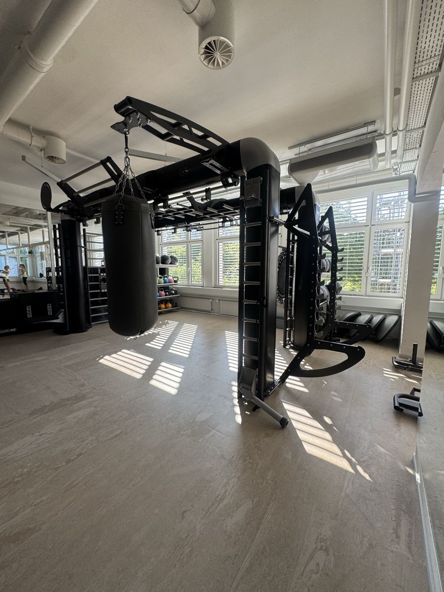 Technogym Hometrainer: Technogym OUTRACE R2-500 AVANTGARDE Functional Tower  – Usato da Wallisellen venduto da witzigs