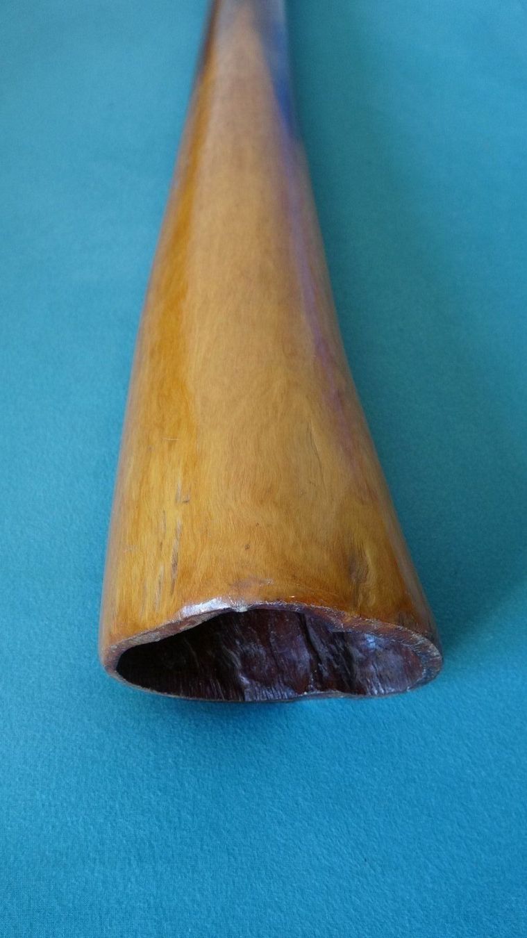 Strumenti musicali: Originales Didgeridoo vom Eukalyptusstamm....1A – Nuovo (secondo la descrizione) da Weinfelden venduto da seetern 5