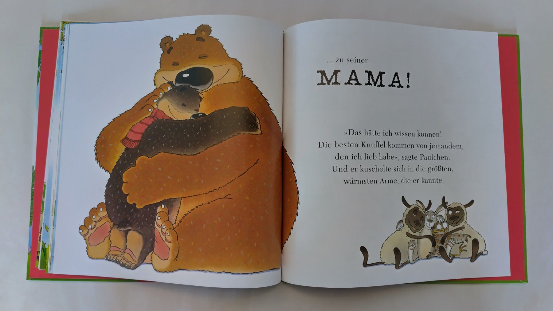 Libri: Wer knuffelt mit Bär Paulchen? / Grosses Bilderbuch – Usato da Bellach venduto da JingleJerry 6