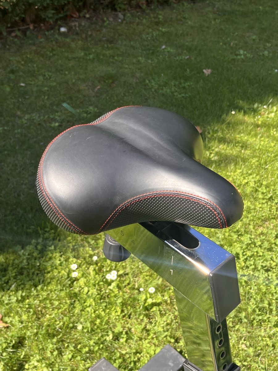 Rogue Hometrainer: Rogue echo bike  – Usato da Collonge-Bellerive venduto da ola_69vq 8