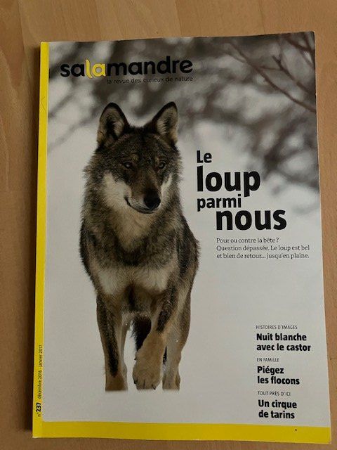 Riviste & Magazine: Revue La Salamandre - Le loup – Usato da Les Ponts-de-Martel venduto da Jolisa