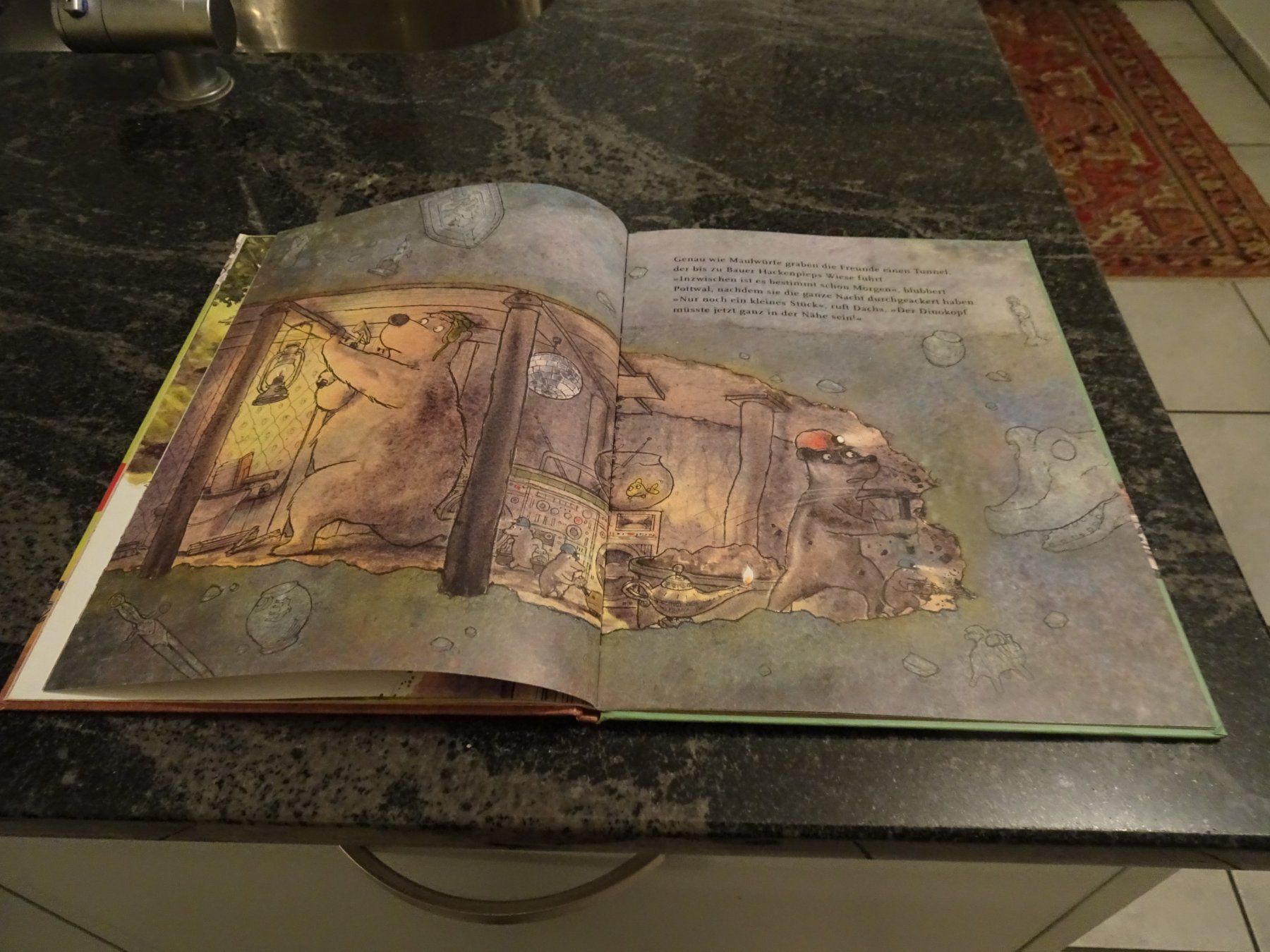 Libri: Bilderbuch  Dr. Brumm und der Megasaurus – Usato da Zürich venduto da Roulet 5