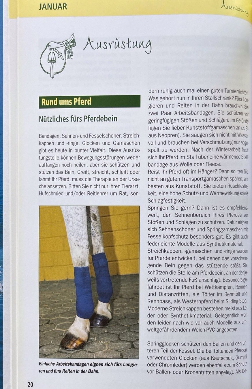 Bücher: Pferd und Reiter rund ums Jahr – Neu (gemäss Beschreibung) aus Sarnen von Livres 6