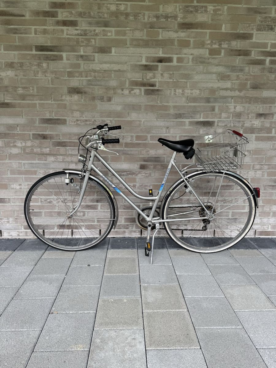Cresta Biciclette: Cresta Damenvelo – Usato da Interlaken venduto da fbnscl