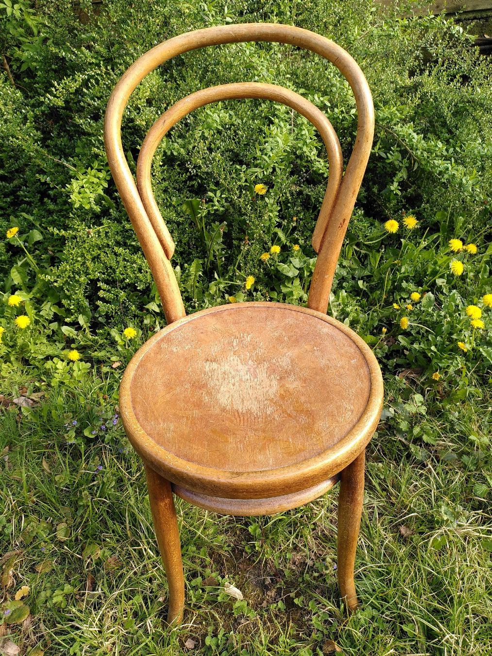 Sedie: 4 belles chaises de bistrot vintage – Usato da Biel/Bienne venduto da C.Bezzola 3