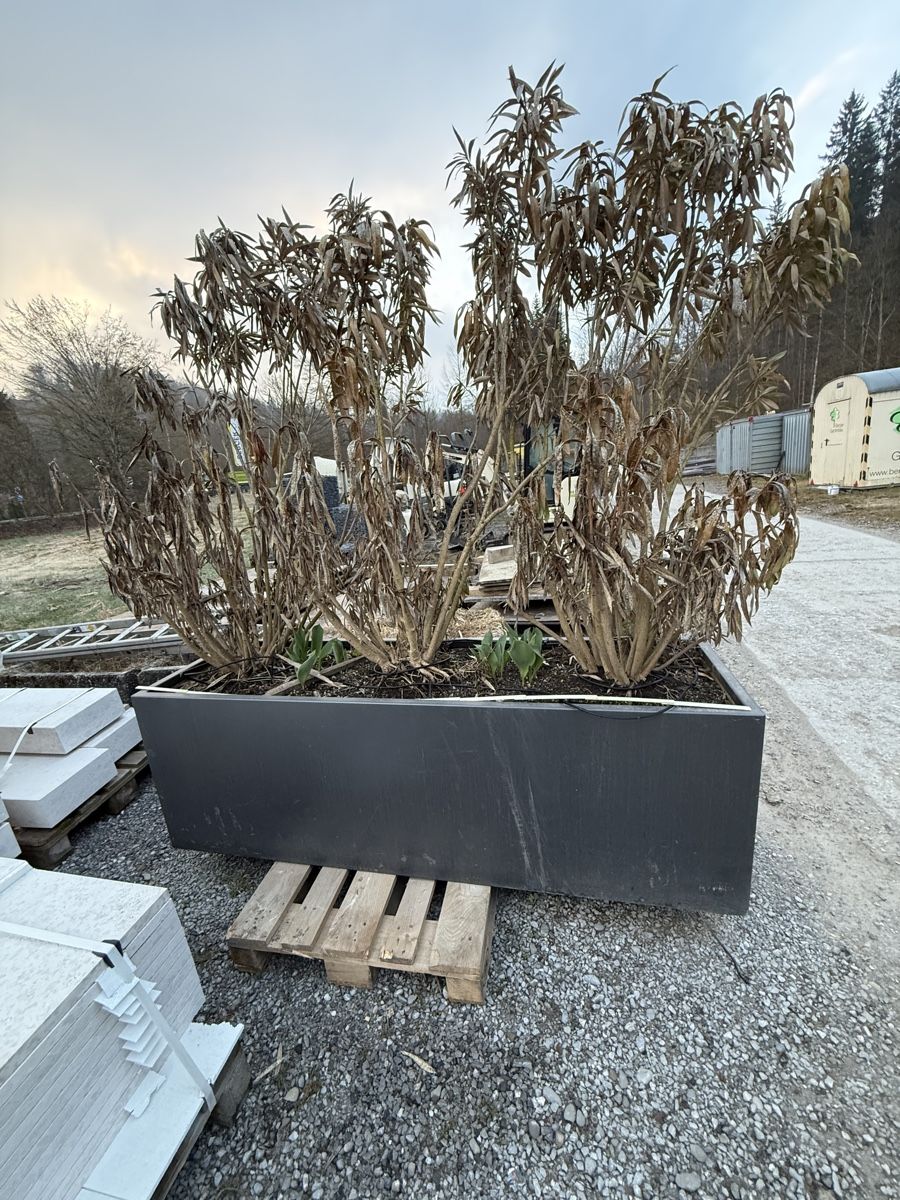 Vasi per fiori: Grosser Pflanztrog aus Alu – Usato da Willerzell venduto da manu.hofbaba
