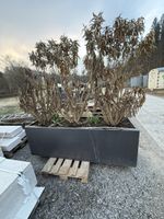 Grosser Pflanztrog aus Alu