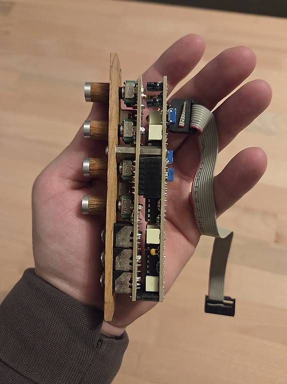 Strumenti musicali: Bastl Instruments Cinnamon Eurorack Modul – Usato da Zürich venduto da Flvr 1