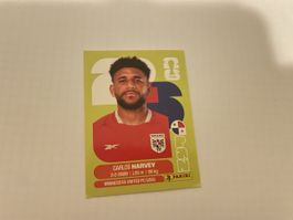 FIFA WM 2026 Carlos Harvev PAN 15
