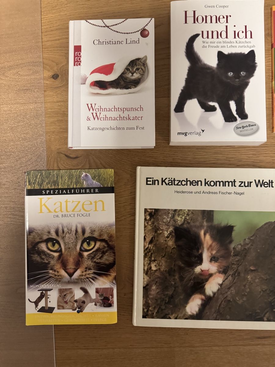 Libri: Katzenbücher – Usato da Grüningen venduto da Jimmy20 1