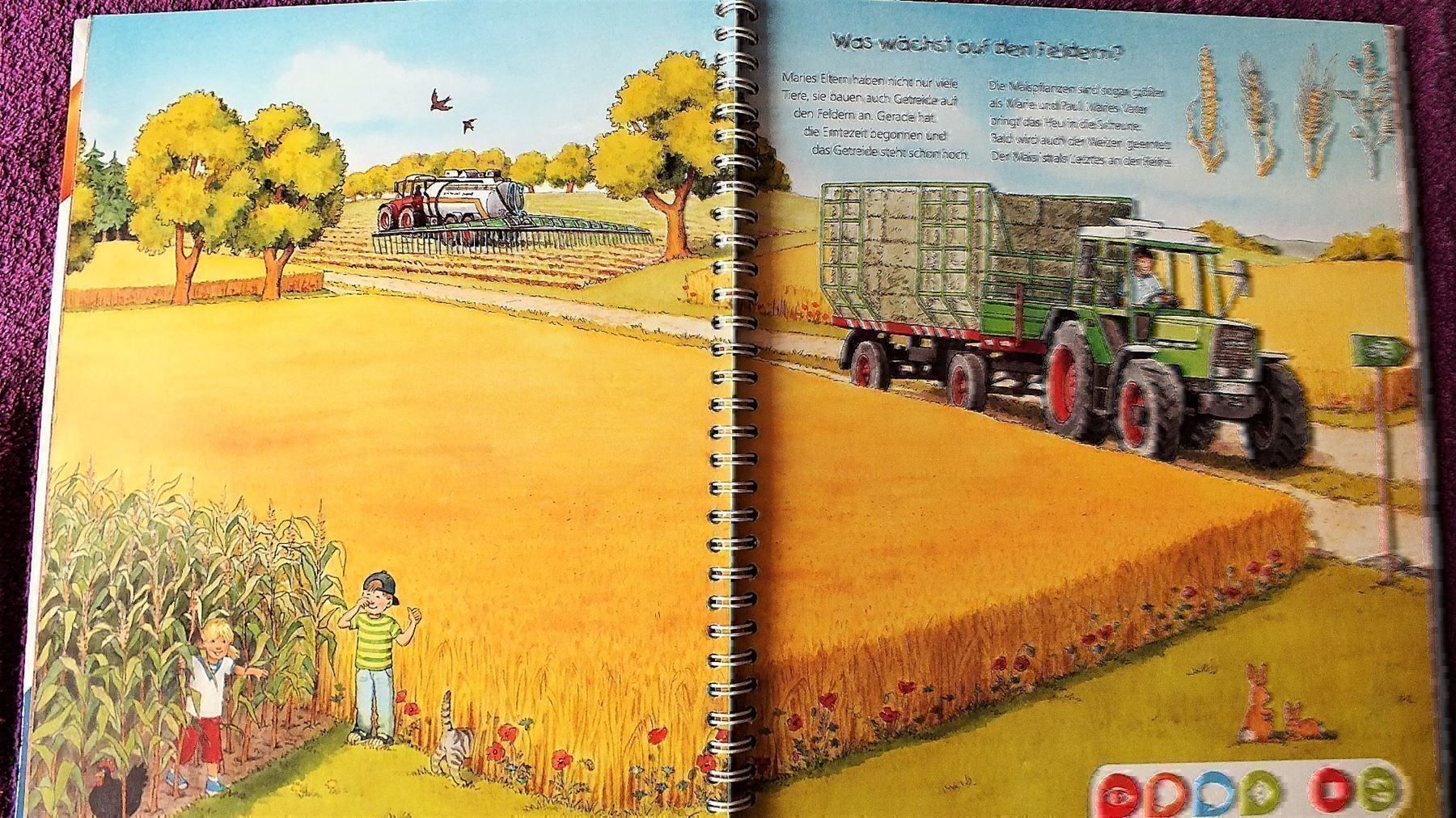 Libri: tiptoi Buch -  Entdecke den Bauernhof – Usato da Müllheim Dorf venduto da Seeeule01 4