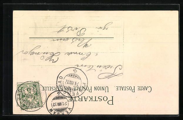 Cartoline postali: AK Ragaz, Villa Solitude, 1902 – Usato da Berlin venduto da bartko-reher 1