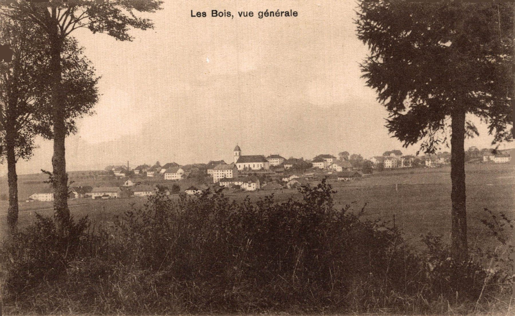 Ansichtskarten: Les Bois, vue générale – Gebraucht aus Bronschhofen von Astore