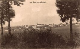 Les Bois, vue générale