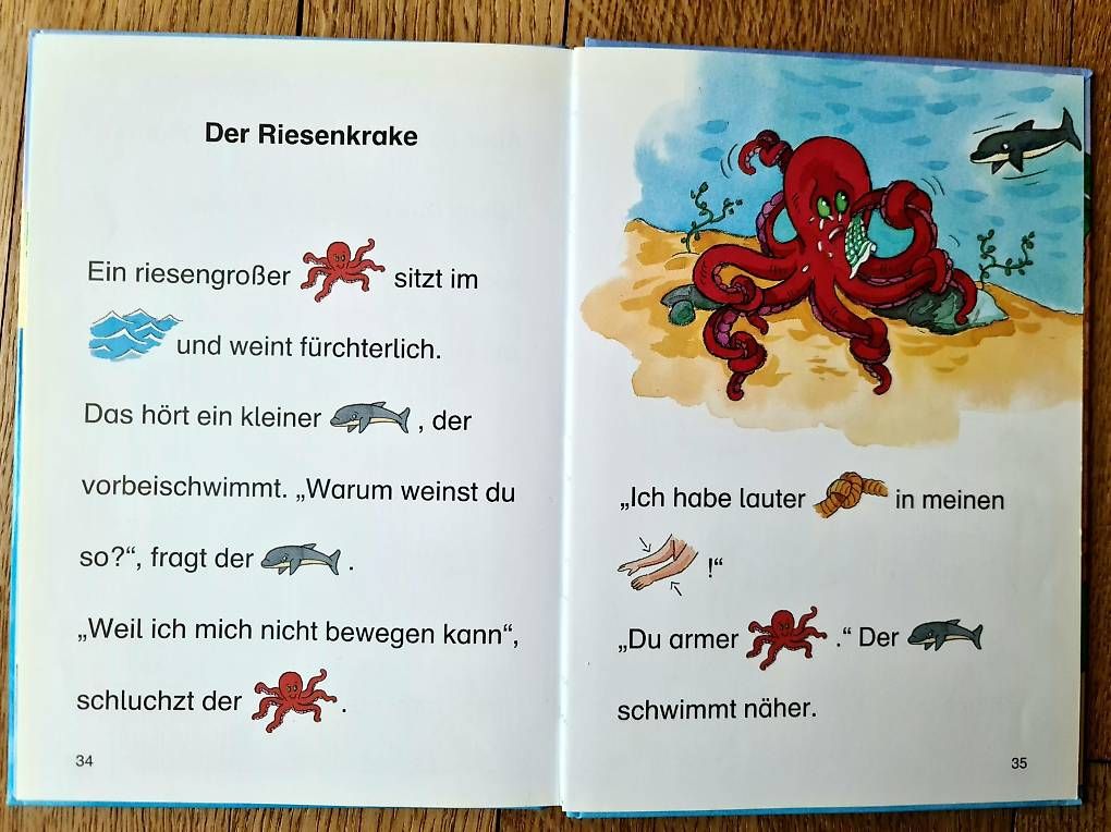 Libri: Erstleser-Buch mit Delphingeschichten – Usato da Muri b. Bern venduto da SPF01 4