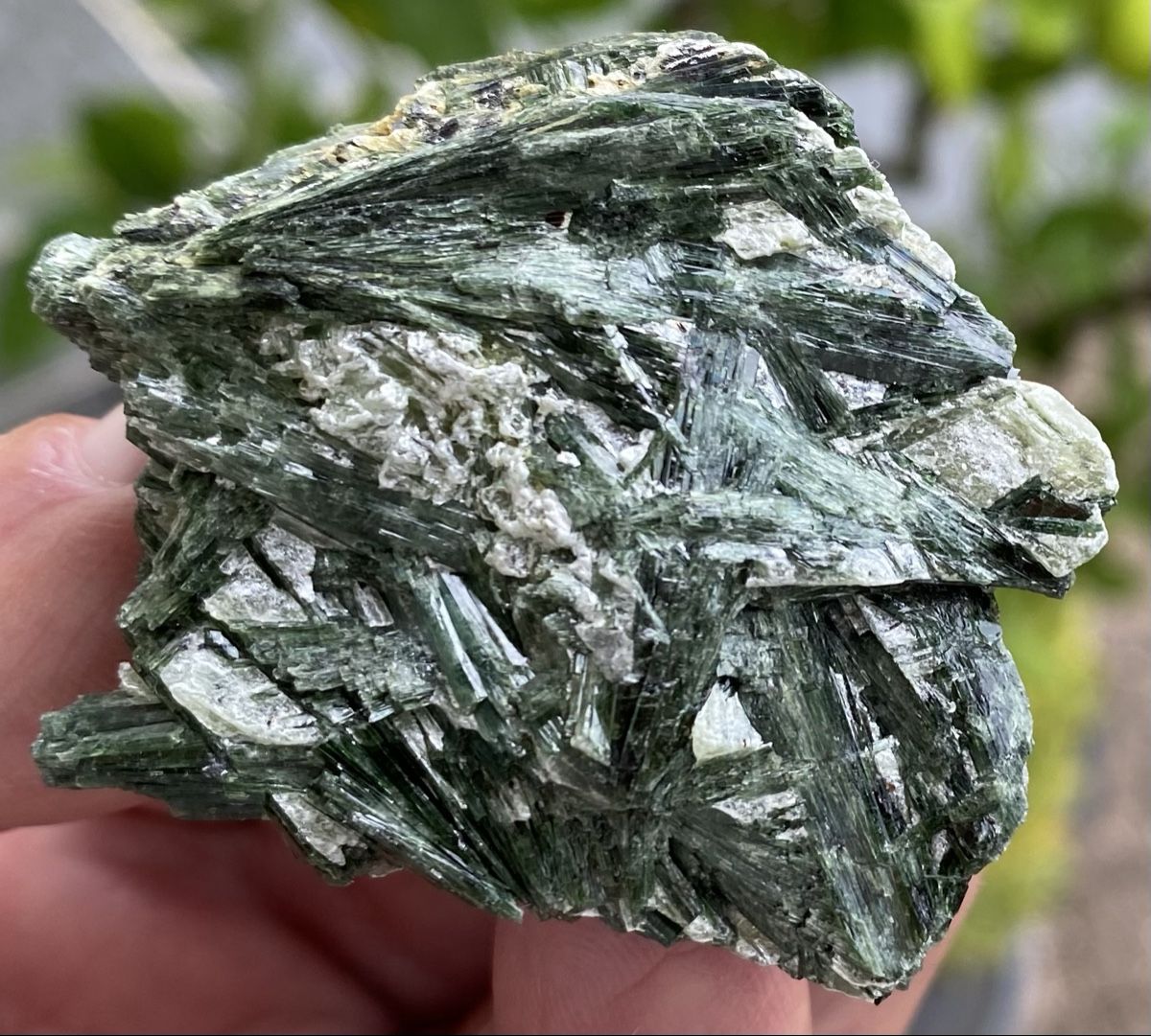 Mineralien & Heilsteine: Top Aktinolith  – Gebraucht aus Selzach von 321compac 7