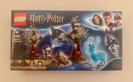 LEGO Harry Potter 75945 Expecto Patronum