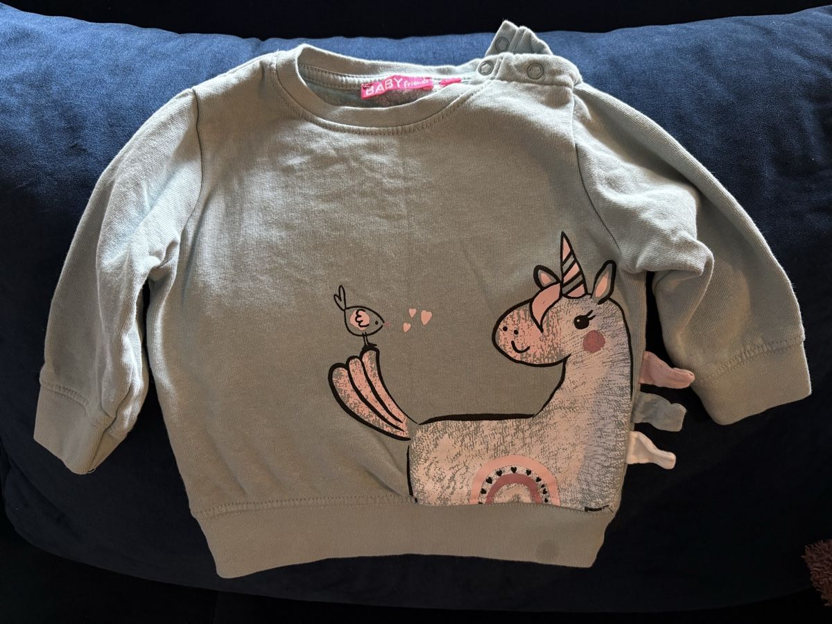 Maglioni & Felpe: Sweatshirt für Mädchen Gr. 74 – Usato da Oberhofen am Thunersee venduto da ver_n9w9