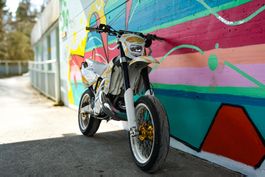 GasGas EC250 2Takt frisch ab MFK