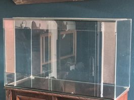 Terrarium Glas mit Lüftungsgitter gebraucht Zustand