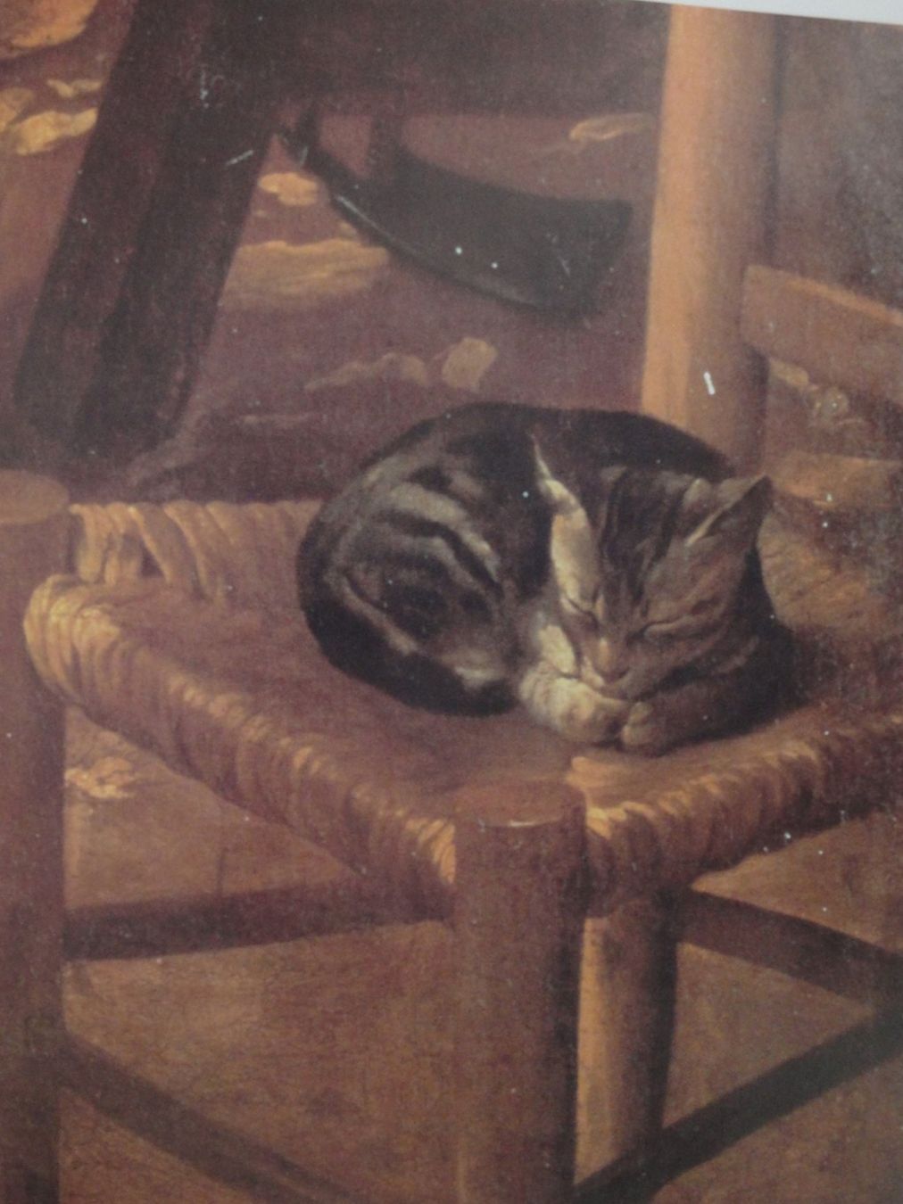 Libri: Die Maler und die Katzen / Foucart-Walter, E. – Nuovo (secondo la descrizione) da Biel/Bienne venduto da 07helios032 3