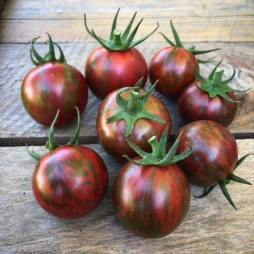 Piante & sementi: 20 Samen ZEBRINO Tomate – Nuovo (secondo la descrizione) da Ehrendingen venduto da VerveinaSamen 3