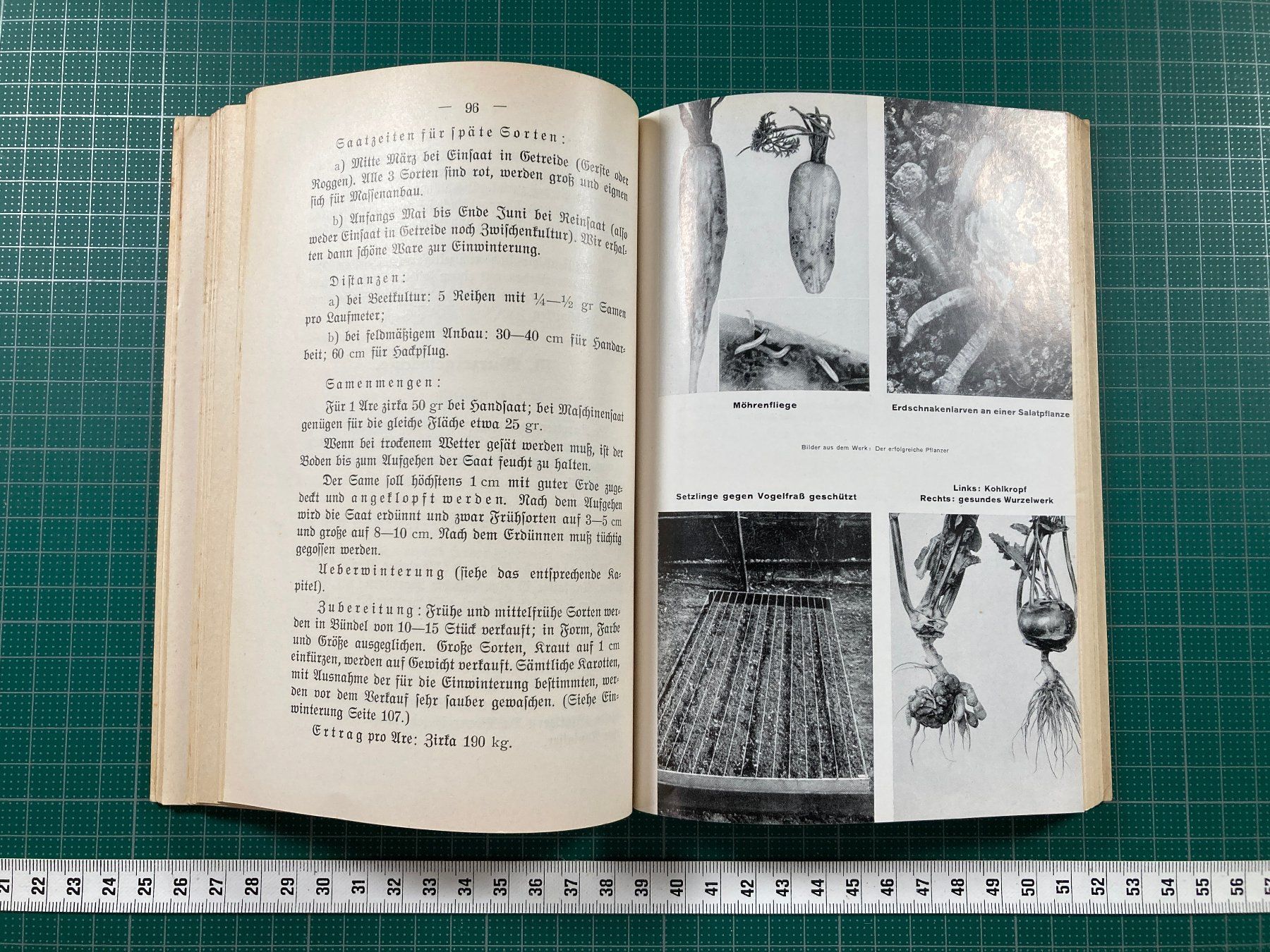 Bücher: J. Siegrist, Brugg: Der Gemüsegarten, 1943 – Gebraucht aus Lenzburg von fh1 7