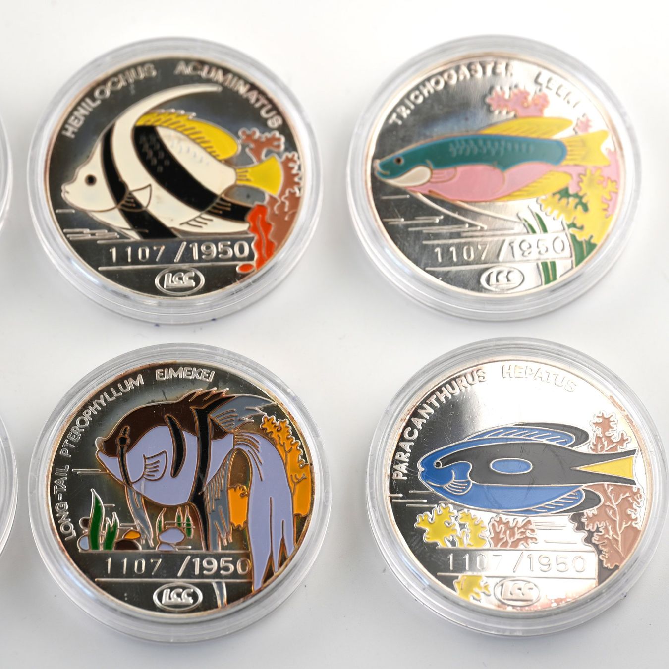Tutti le monete: 6x1 Oz Silber 500 Won – Usato da Basel venduto da Vip24 2