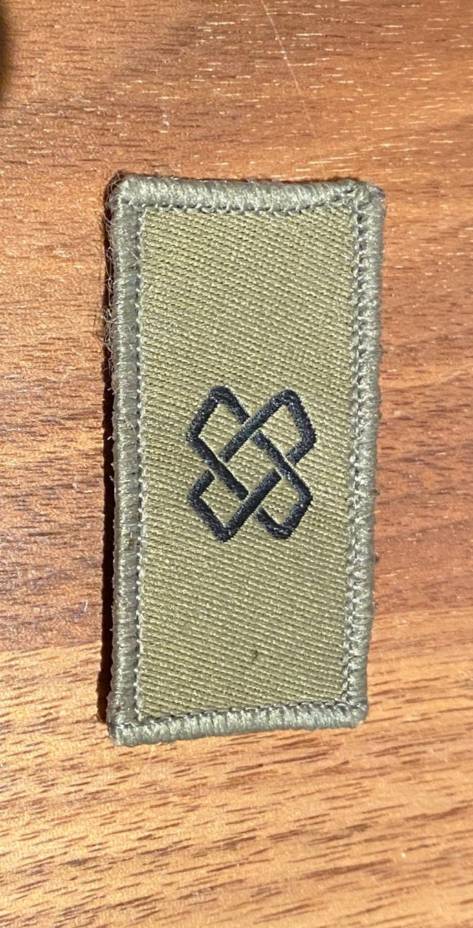 Schweizer Armee Placchette & Badge: Schweizer Armee Klett, Patch, Logistiktruppen, Velcor – Usato da Sursee venduto da Engel19