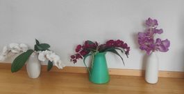 3 Kunstblumen Orchideen in Vasen